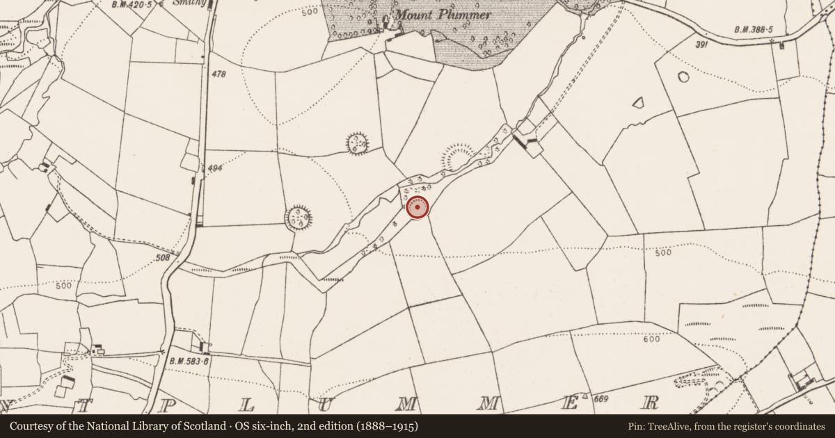 Ordnance Survey six-inch map, 2nd edition (1888–1915) covering the location of Ringfort - rath, Mountplummer, County Limerick, with a pin at the register's coordinates