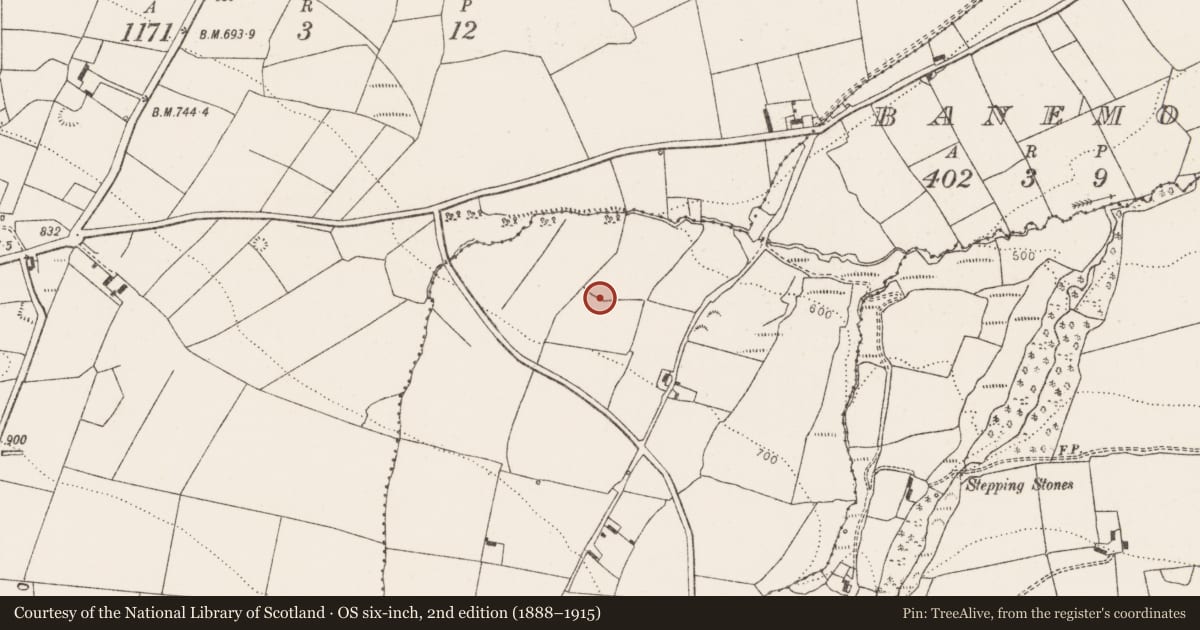 Ordnance Survey six-inch map, 2nd edition (1888–1915) covering the location of Enclosure, Banemore, County Limerick, with a pin at the register's coordinates