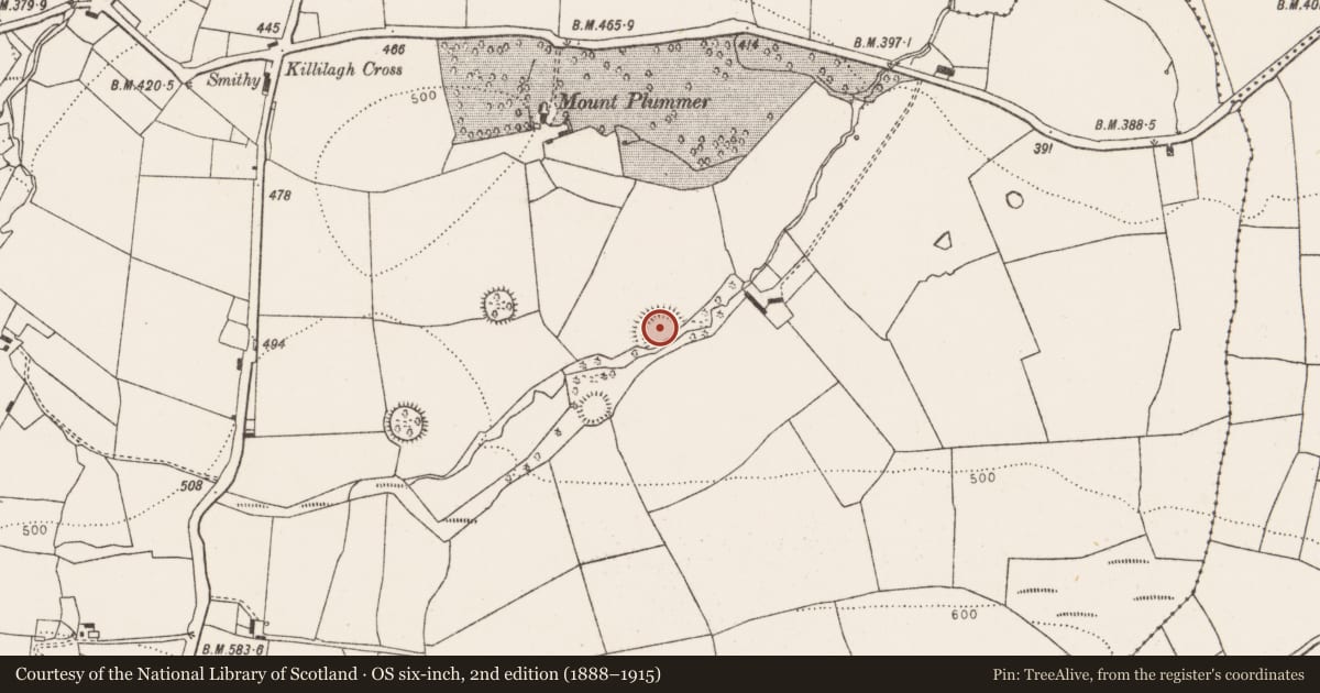 Ordnance Survey six-inch map, 2nd edition (1888–1915) covering the location of Cliff-edge fort, Mountplummer, County Limerick, with a pin at the register's coordinates