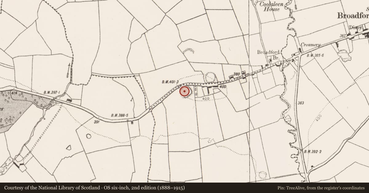 Ordnance Survey six-inch map, 2nd edition (1888–1915) covering the location of Ringfort - rath, Banemore, County Limerick, with a pin at the register's coordinates