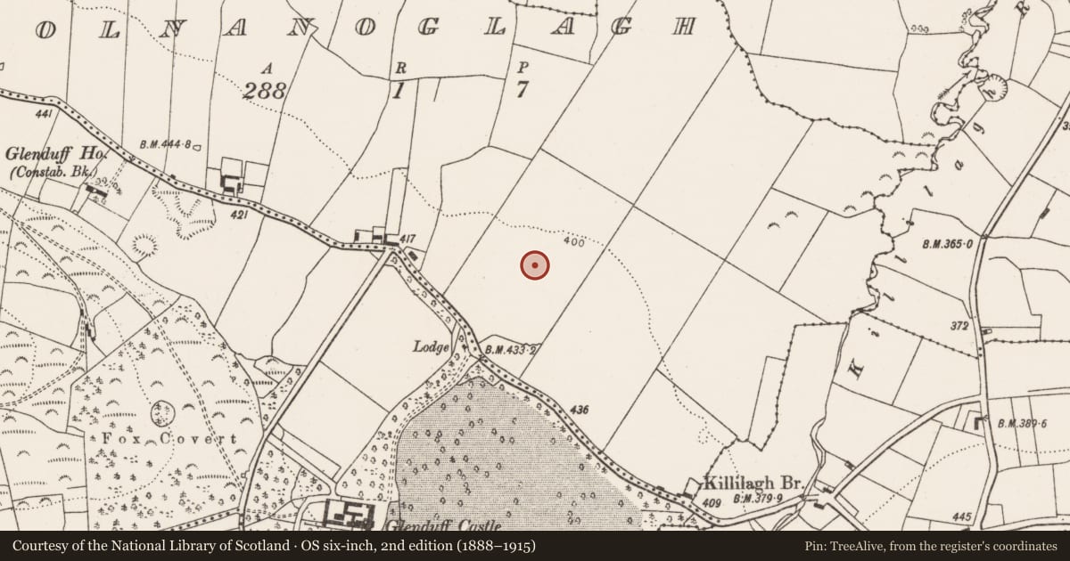 Ordnance Survey six-inch map, 2nd edition (1888–1915) covering the location of Earthwork, Coolnanoglagh, County Limerick, with a pin at the register's coordinates