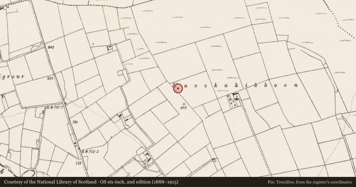 Ordnance Survey six-inch map, 2nd edition (1888–1915) covering the location of Barrow - ditch barrow, Knocktoosh, County Limerick, with a pin at the register's coordinates