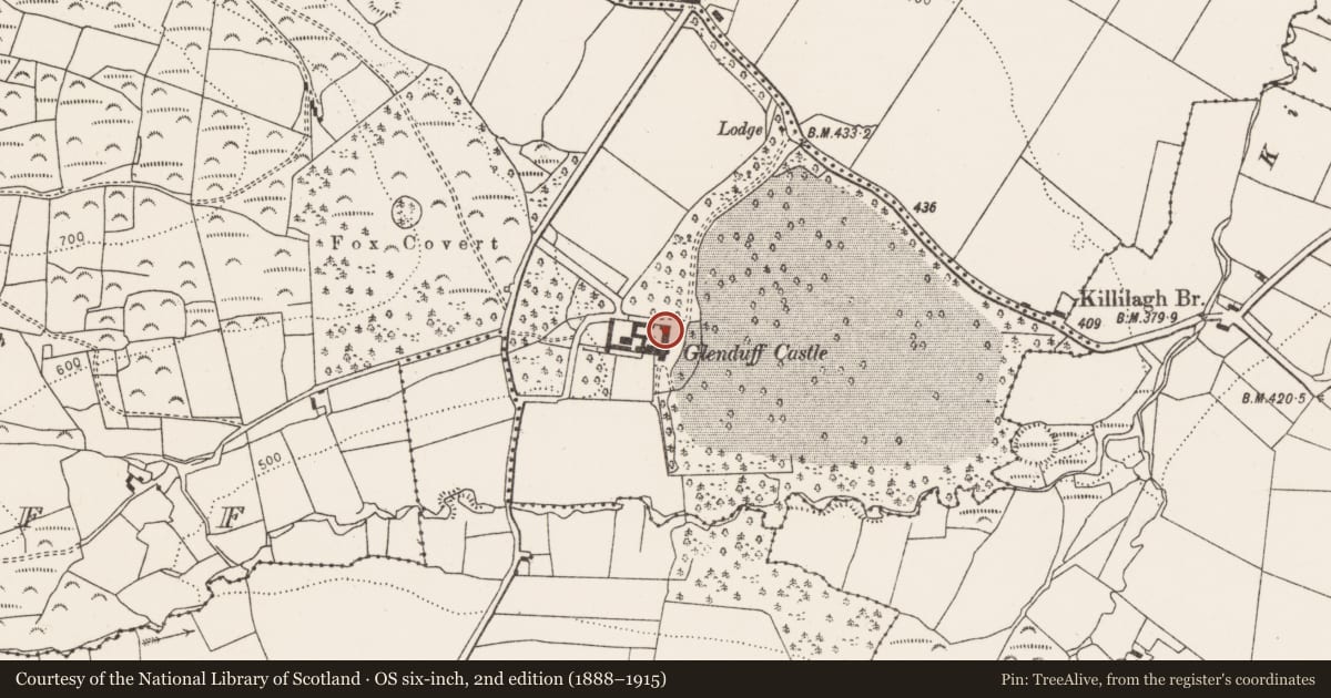 Ordnance Survey six-inch map, 2nd edition (1888–1915) covering the location of Castle - tower house, Glenduff, County Limerick, with a pin at the register's coordinates