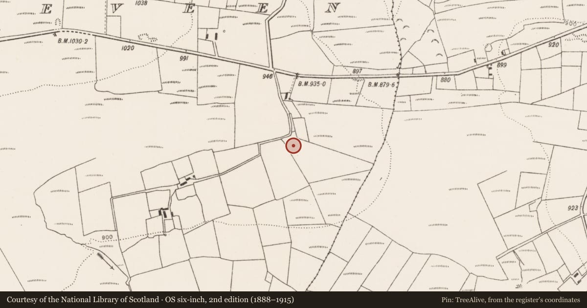 Ordnance Survey six-inch map, 2nd edition (1888–1915) covering the location of Burnt mound, Dromdeeveen, County Limerick, with a pin at the register's coordinates