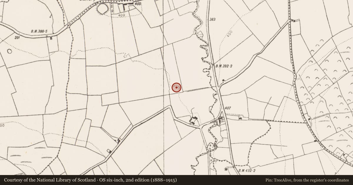 Ordnance Survey six-inch map, 2nd edition (1888–1915) covering the location of Ringfort - rath, Banemore, County Limerick, with a pin at the register's coordinates