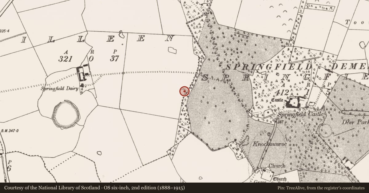 Ordnance Survey six-inch map, 2nd edition (1888–1915) covering the location of Ringfort - rath, Killeen, County Limerick, with a pin at the register's coordinates