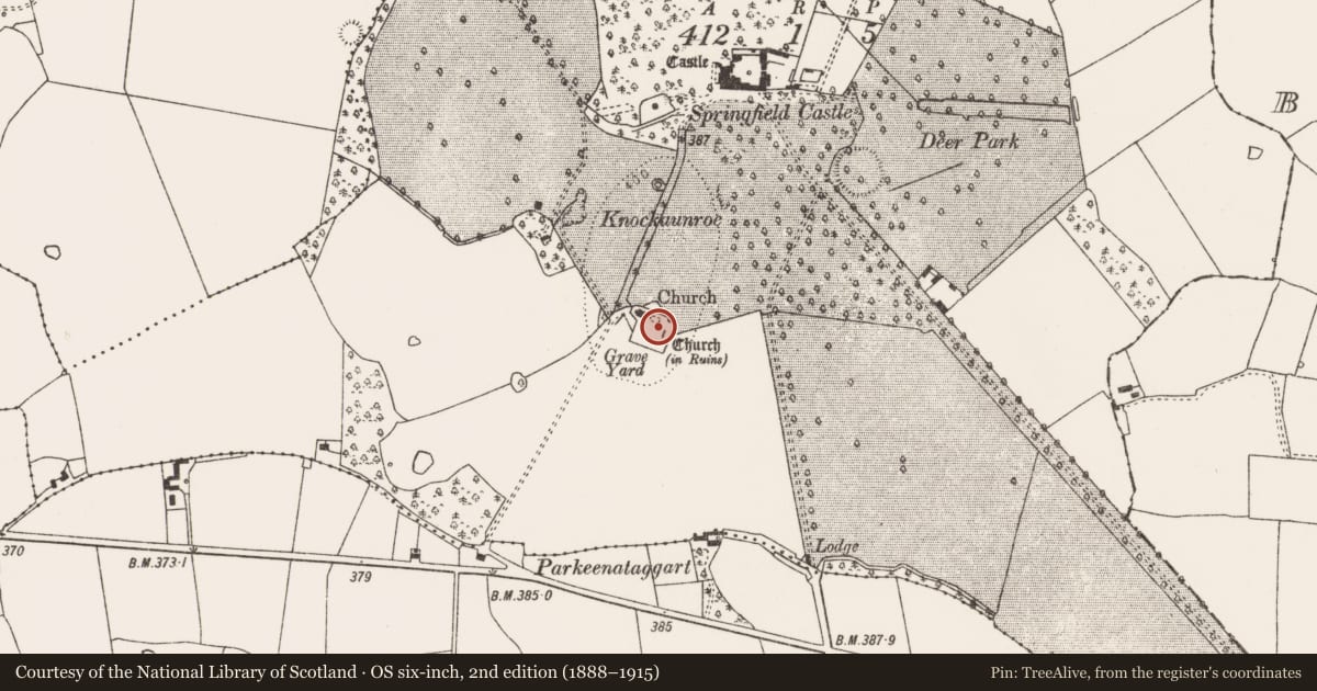 Ordnance Survey six-inch map, 2nd edition (1888–1915) covering the location of Graveyard, Springfield, County Limerick, with a pin at the register's coordinates
