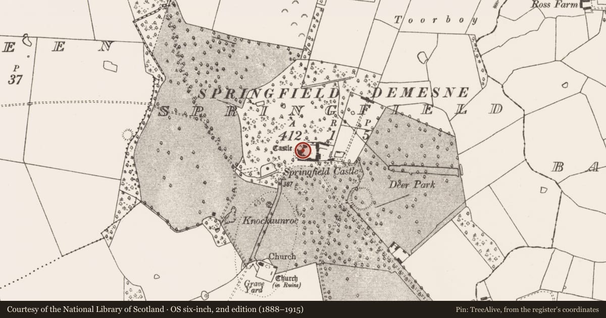 Ordnance Survey six-inch map, 2nd edition (1888–1915) covering the location of Castle - tower house, Springfield, County Limerick, with a pin at the register's coordinates