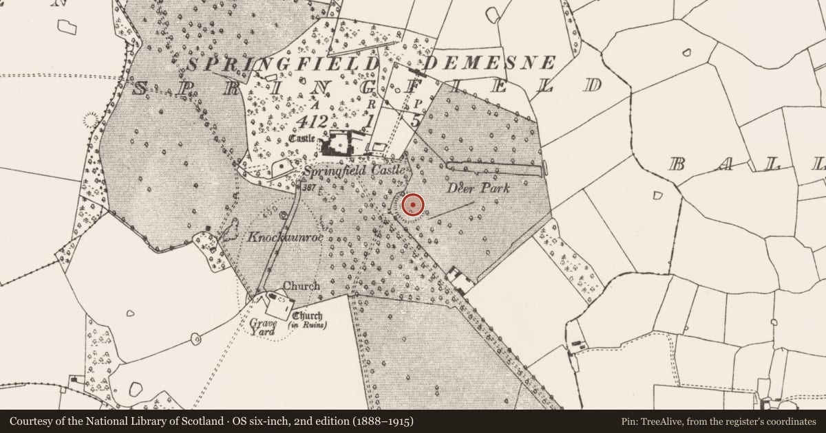Ordnance Survey six-inch map, 2nd edition (1888–1915) covering the location of Ringfort - rath, Springfield, County Limerick, with a pin at the register's coordinates