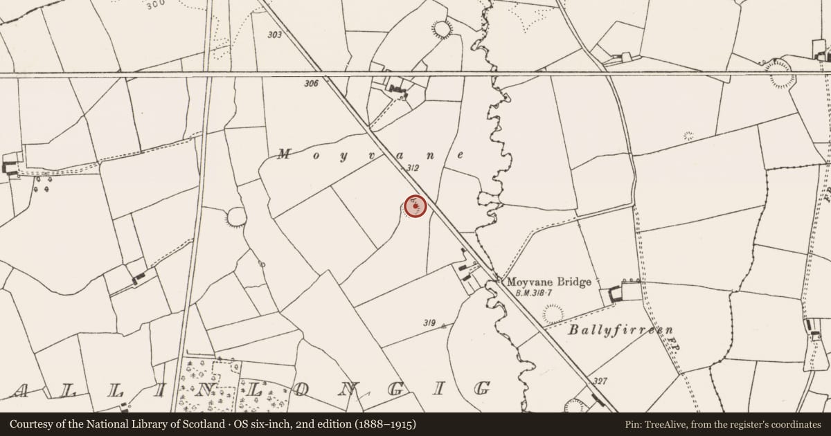 Ordnance Survey six-inch map, 2nd edition (1888–1915) covering the location of Ringfort - rath, Ballinlongig, County Limerick, with a pin at the register's coordinates