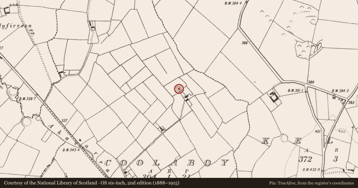 Ordnance Survey six-inch map, 2nd edition (1888–1915) covering the location of Ringfort - rath, Coolaboy, County Limerick, with a pin at the register's coordinates