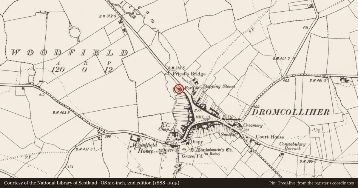 Ordnance Survey six-inch map, 2nd edition (1888–1915) covering the location of Ringfort - rath, Coolaboy, County Limerick, with a pin at the register's coordinates