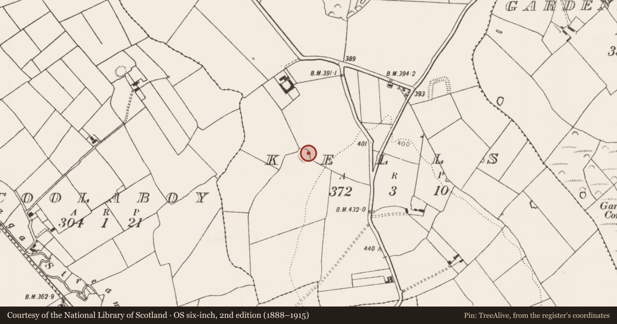 Ordnance Survey six-inch map, 2nd edition (1888–1915) covering the location of Ringfort - rath, Kells, County Limerick, with a pin at the register's coordinates