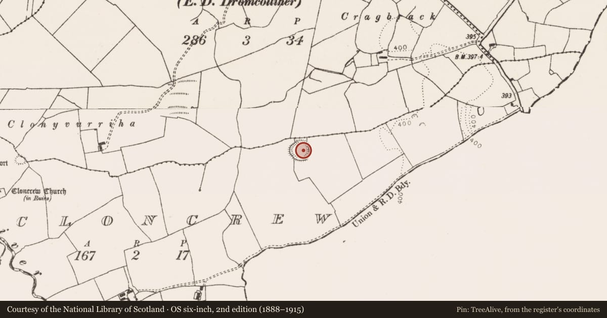 Ordnance Survey six-inch map, 2nd edition (1888–1915) covering the location of Ringfort - rath, Cloncrew, County Limerick, with a pin at the register's coordinates