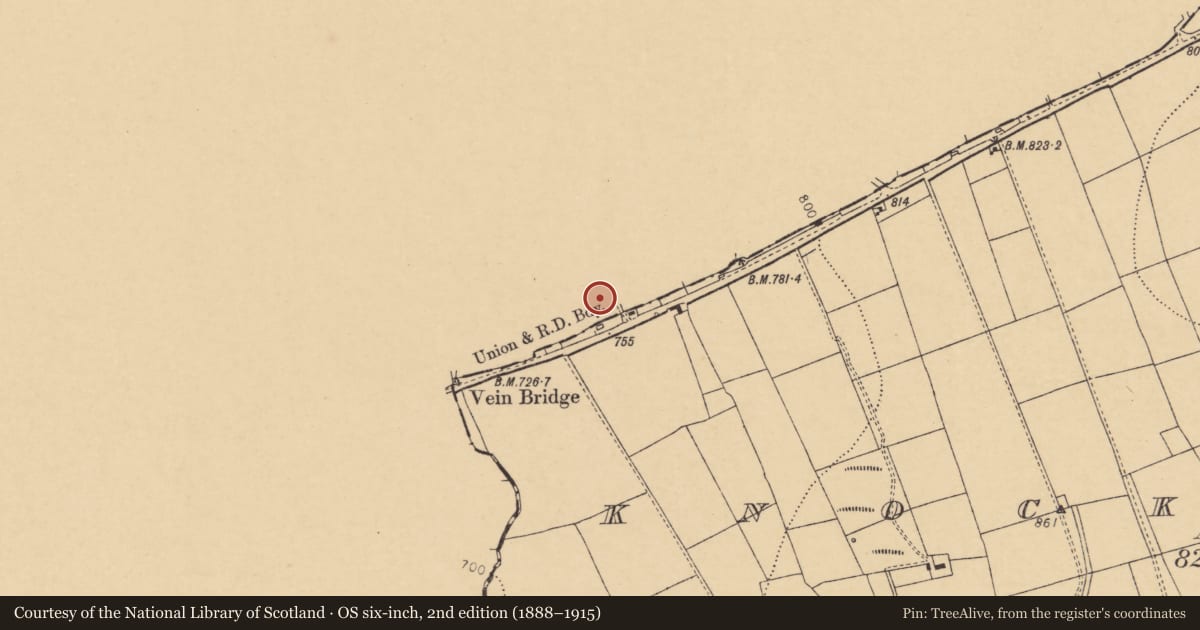 Ordnance Survey six-inch map, 2nd edition (1888–1915) covering the location of Linear earthwork, Knockglass, County Limerick, with a pin at the register's coordinates