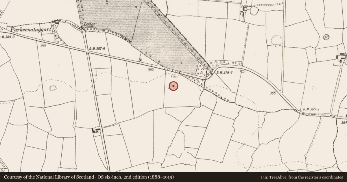 Ordnance Survey six-inch map, 2nd edition (1888–1915) covering the location of Ringfort - rath, Farrihy, County Limerick, with a pin at the register's coordinates