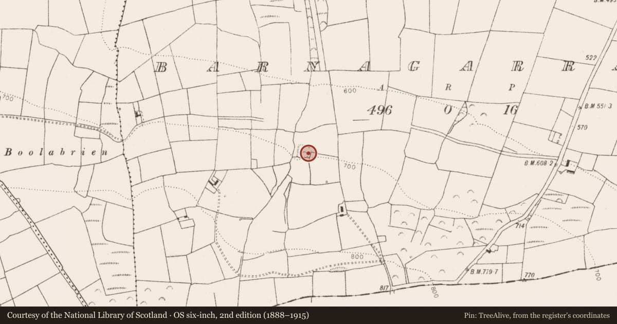 Ordnance Survey six-inch map, 2nd edition (1888–1915) covering the location of Enclosure, Barnagarrane, County Limerick, with a pin at the register's coordinates