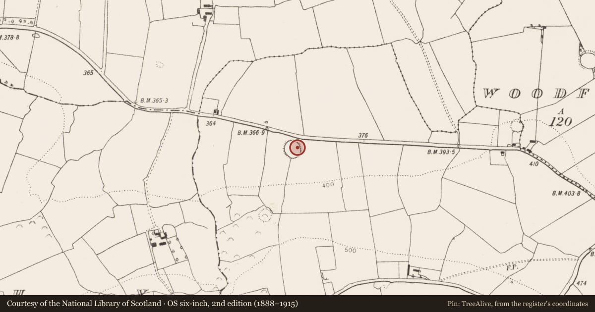 Ordnance Survey six-inch map, 2nd edition (1888–1915) covering the location of Ringfort - rath, Knockacraig, County Limerick, with a pin at the register's coordinates