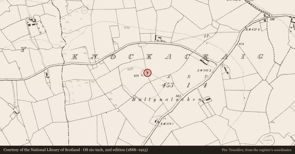 Ordnance Survey six-inch map, 2nd edition (1888–1915) covering the location of Ringfort - rath, Knockacraig, County Limerick, with a pin at the register's coordinates