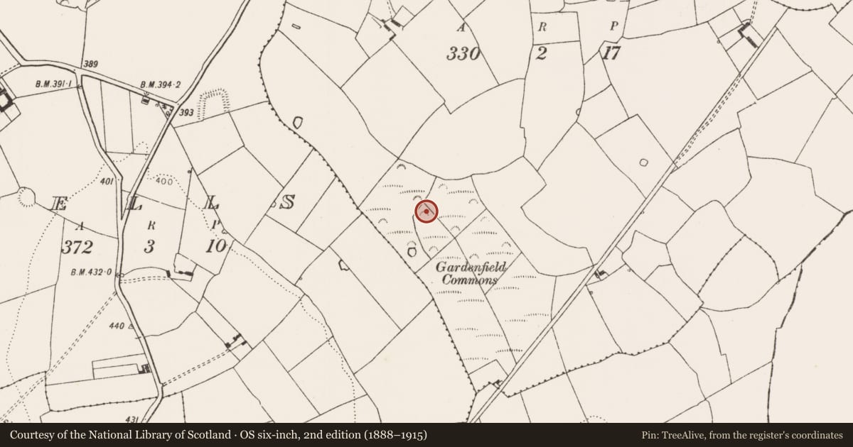 Ordnance Survey six-inch map, 2nd edition (1888–1915) covering the location of Burnt mound, Gardenfield South, County Limerick, with a pin at the register's coordinates