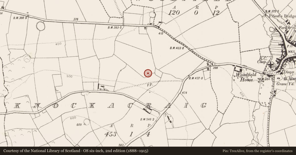 Ordnance Survey six-inch map, 2nd edition (1888–1915) covering the location of Earthwork, Knockacraig, County Limerick, with a pin at the register's coordinates