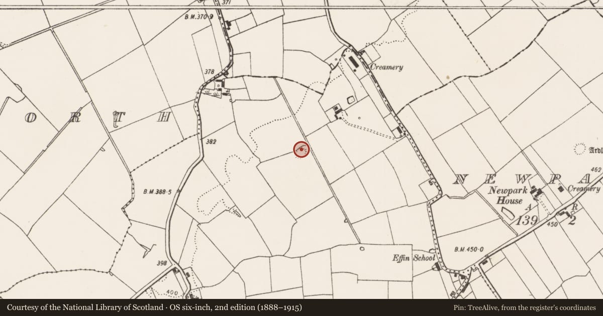 Ordnance Survey six-inch map, 2nd edition (1888–1915) covering the location of Earthwork, Ballyshonikin, County Limerick, with a pin at the register's coordinates