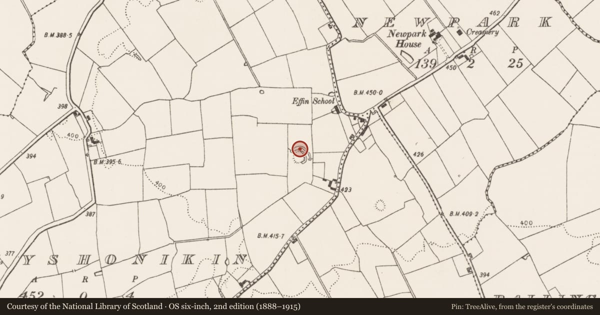 Ordnance Survey six-inch map, 2nd edition (1888–1915) covering the location of Earthwork, Ballyshonikin, County Limerick, with a pin at the register's coordinates