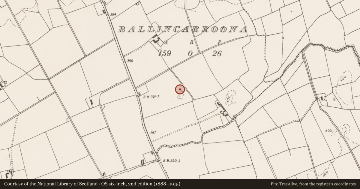 Ordnance Survey six-inch map, 2nd edition (1888–1915) covering the location of Earthwork, Ballincarroona, County Limerick, with a pin at the register's coordinates