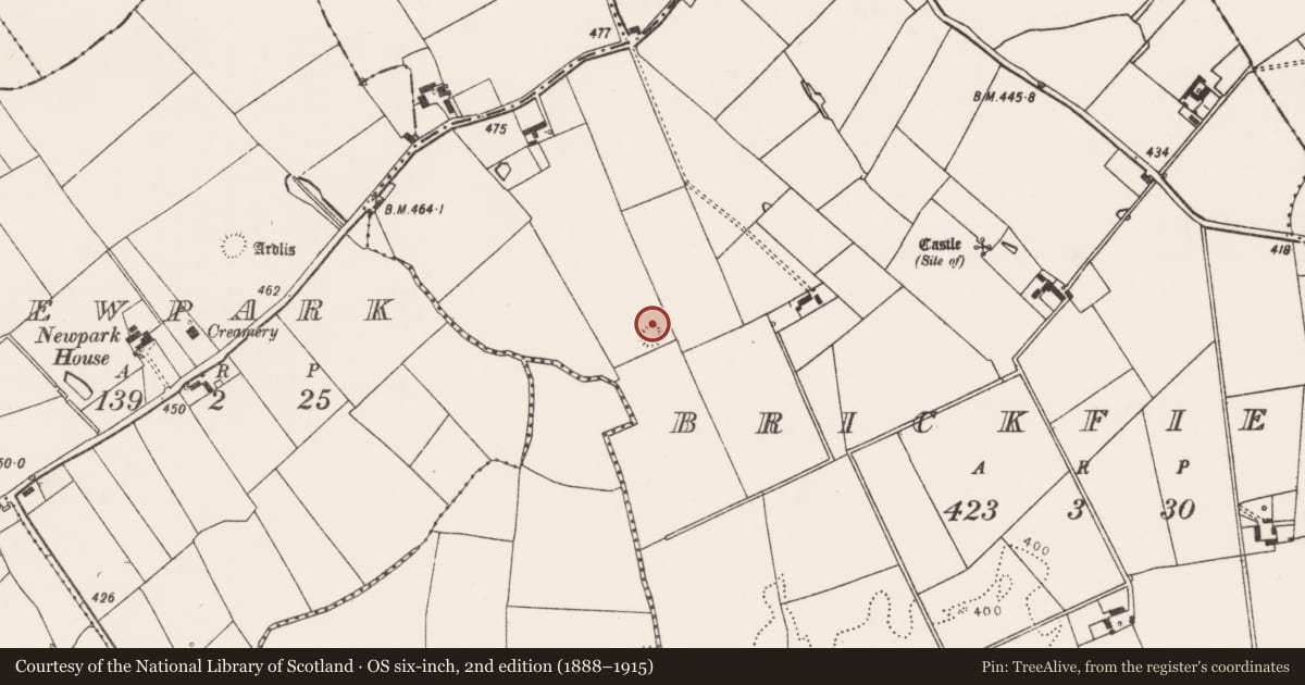 Ordnance Survey six-inch map, 2nd edition (1888–1915) covering the location of Enclosure, Brickfield, County Limerick, with a pin at the register's coordinates