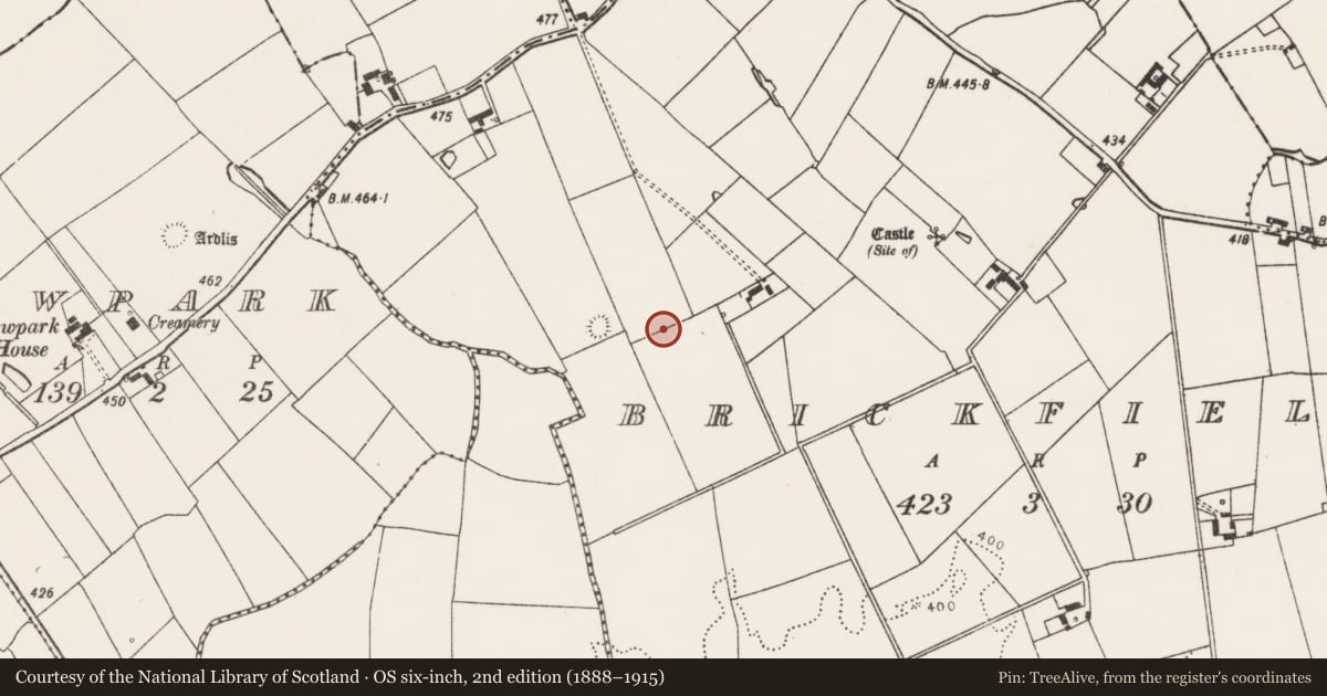 Ordnance Survey six-inch map, 2nd edition (1888–1915) covering the location of Earthwork, Brickfield, County Limerick, with a pin at the register's coordinates