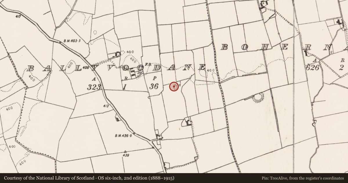 Ordnance Survey six-inch map, 2nd edition (1888–1915) covering the location of Earthwork, Ballyvoodane, County Limerick, with a pin at the register's coordinates