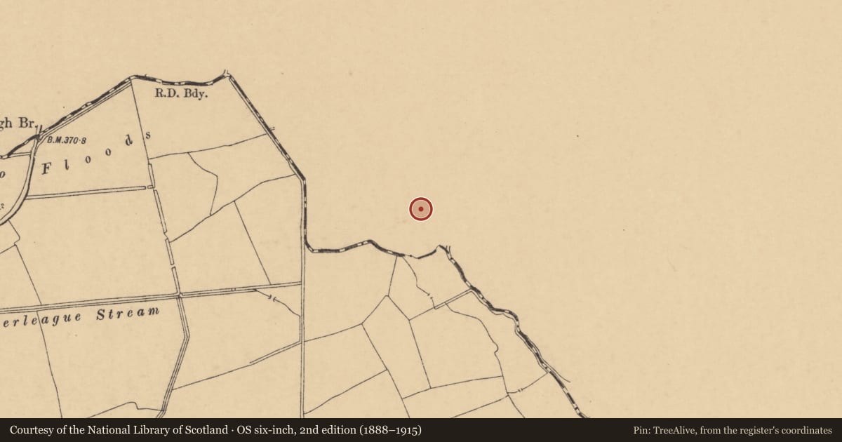 Ordnance Survey six-inch map, 2nd edition (1888–1915) covering the location of Moated site, Ballymacshaneboy, County Limerick, with a pin at the register's coordinates