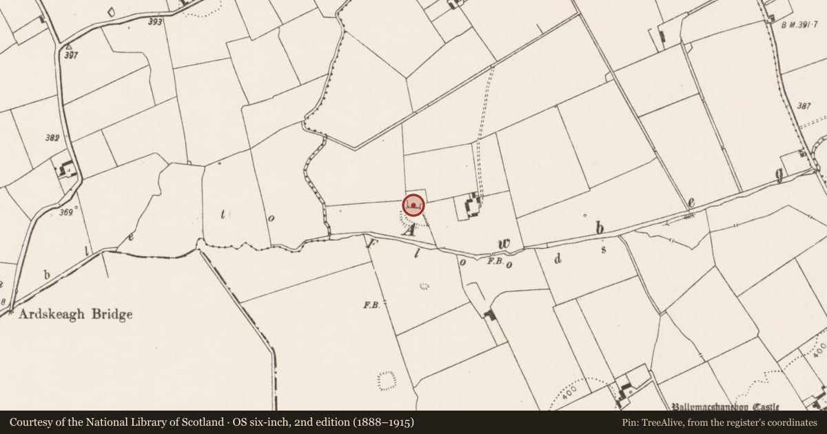 Ordnance Survey six-inch map, 2nd edition (1888–1915) covering the location of Moated site, Ballymacshaneboy, County Limerick, with a pin at the register's coordinates
