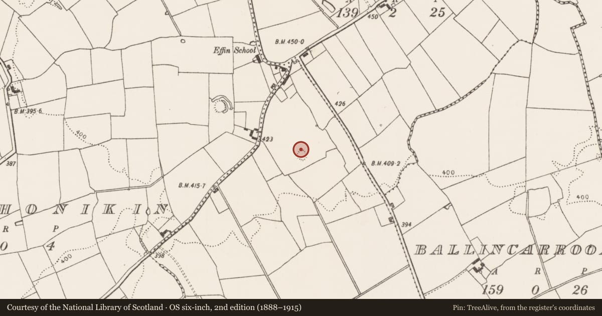 Ordnance Survey six-inch map, 2nd edition (1888–1915) covering the location of Ringfort - rath, Ballymacshaneboy, County Limerick, with a pin at the register's coordinates