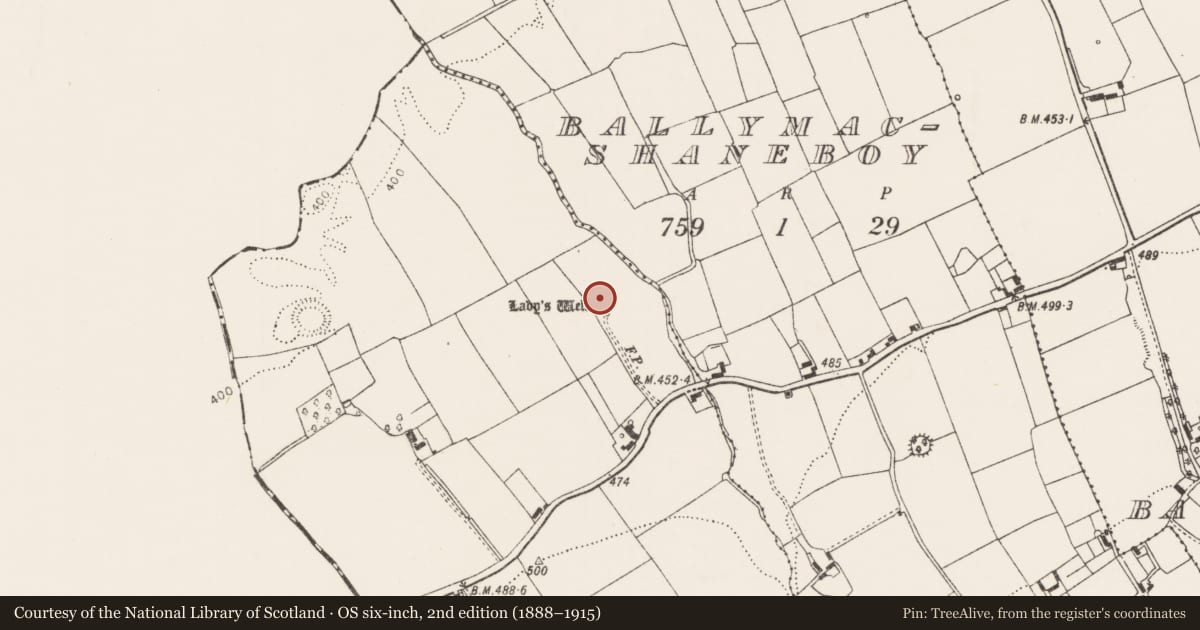 Ordnance Survey six-inch map, 2nd edition (1888–1915) covering the location of Ritual site - holy well, Ballyshanedehey, County Limerick, with a pin at the register's coordinates