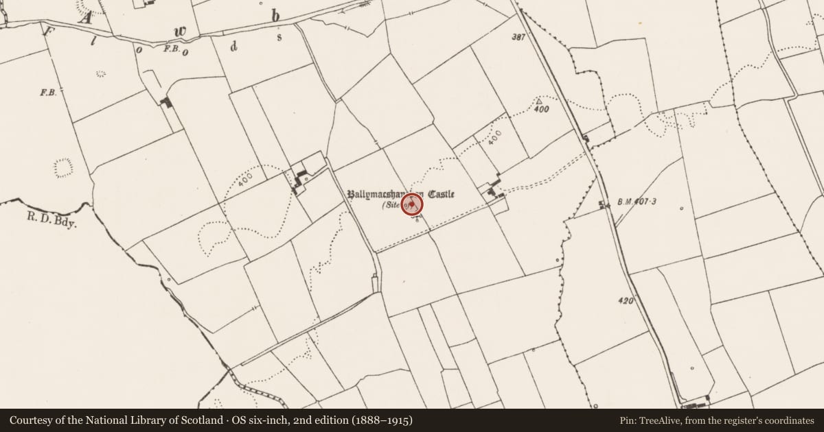 Ordnance Survey six-inch map, 2nd edition (1888–1915) covering the location of Castle - unclassified, Ballymacshaneboy, County Limerick, with a pin at the register's coordinates