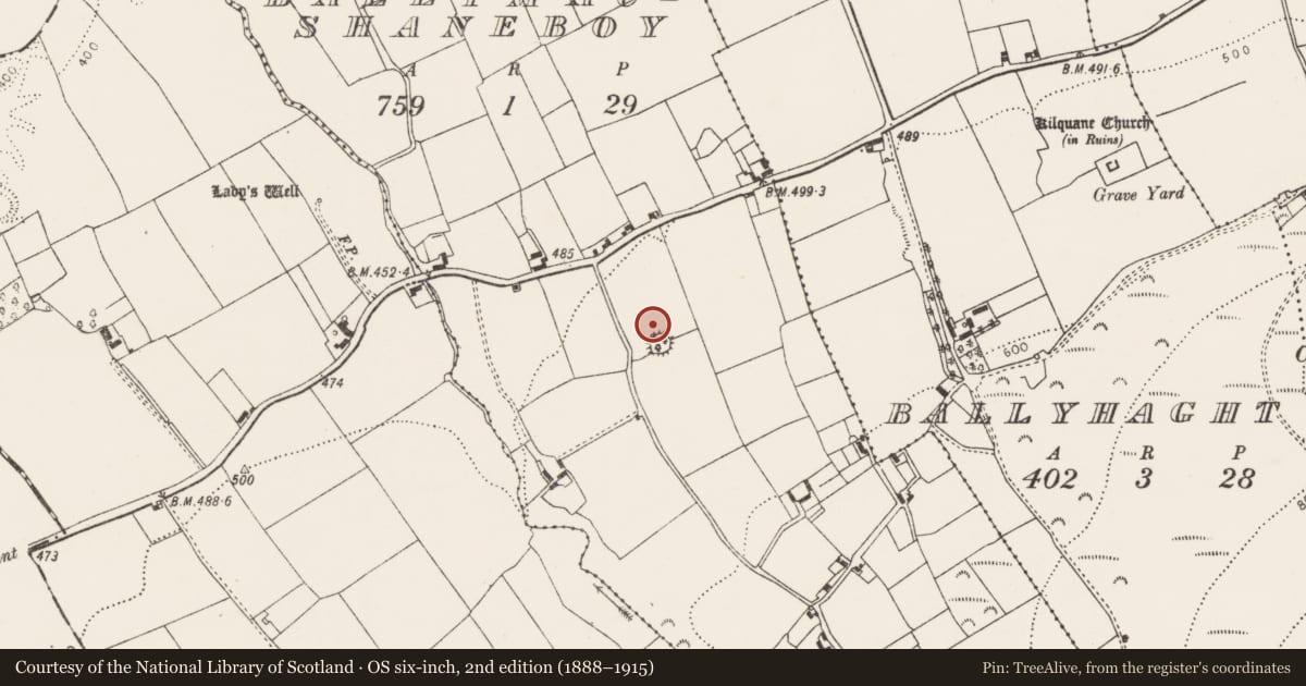 Ordnance Survey six-inch map, 2nd edition (1888–1915) covering the location of Ringfort - rath, Ballymacshaneboy, County Limerick, with a pin at the register's coordinates