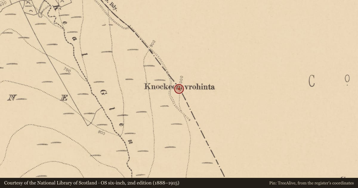 Ordnance Survey six-inch map, 2nd edition (1888–1915) covering the location of Cairn - boundary cairn, Ballylopen, Ballyshanedehey, County Limerick, with a pin at the register's coordinates