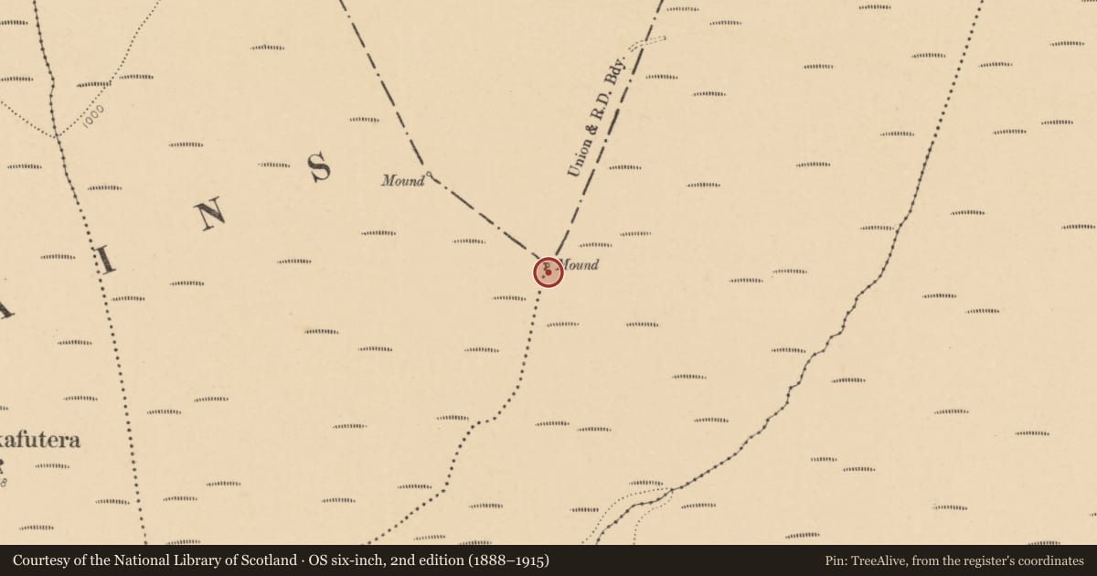 Ordnance Survey six-inch map, 2nd edition (1888–1915) covering the location of Cairn - boundary cairn, Ballyshanedehey, County Limerick, with a pin at the register's coordinates
