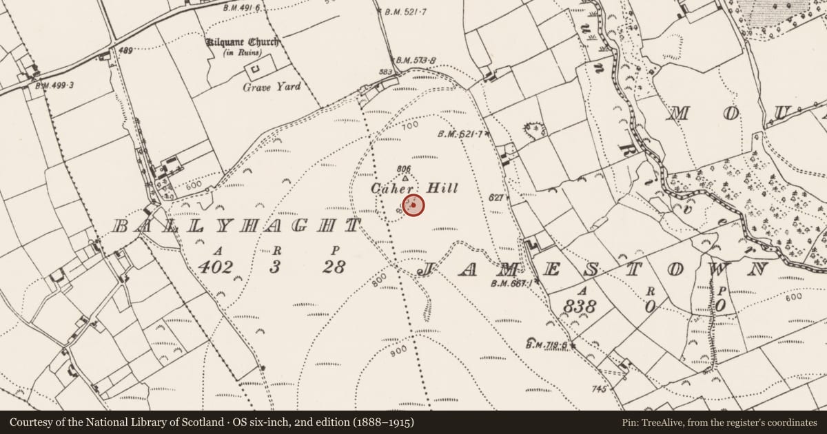 Ordnance Survey six-inch map, 2nd edition (1888–1915) covering the location of Burial mound, Jamestown, County Limerick, with a pin at the register's coordinates