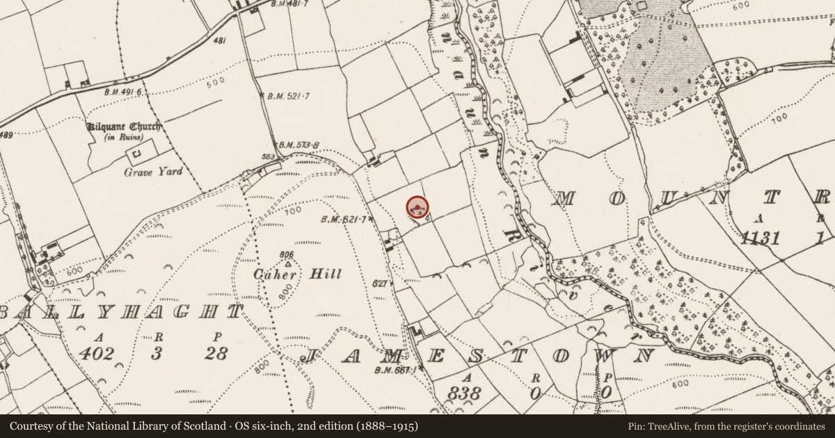 Ordnance Survey six-inch map, 2nd edition (1888–1915) covering the location of Enclosure, Jamestown, County Limerick, with a pin at the register's coordinates