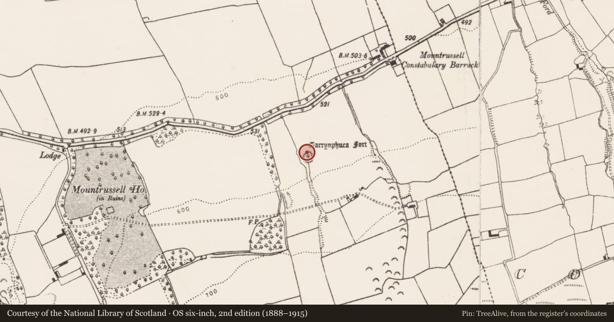 Ordnance Survey six-inch map, 2nd edition (1888–1915) covering the location of Ringfort - rath, Mountrussell, County Limerick, with a pin at the register's coordinates