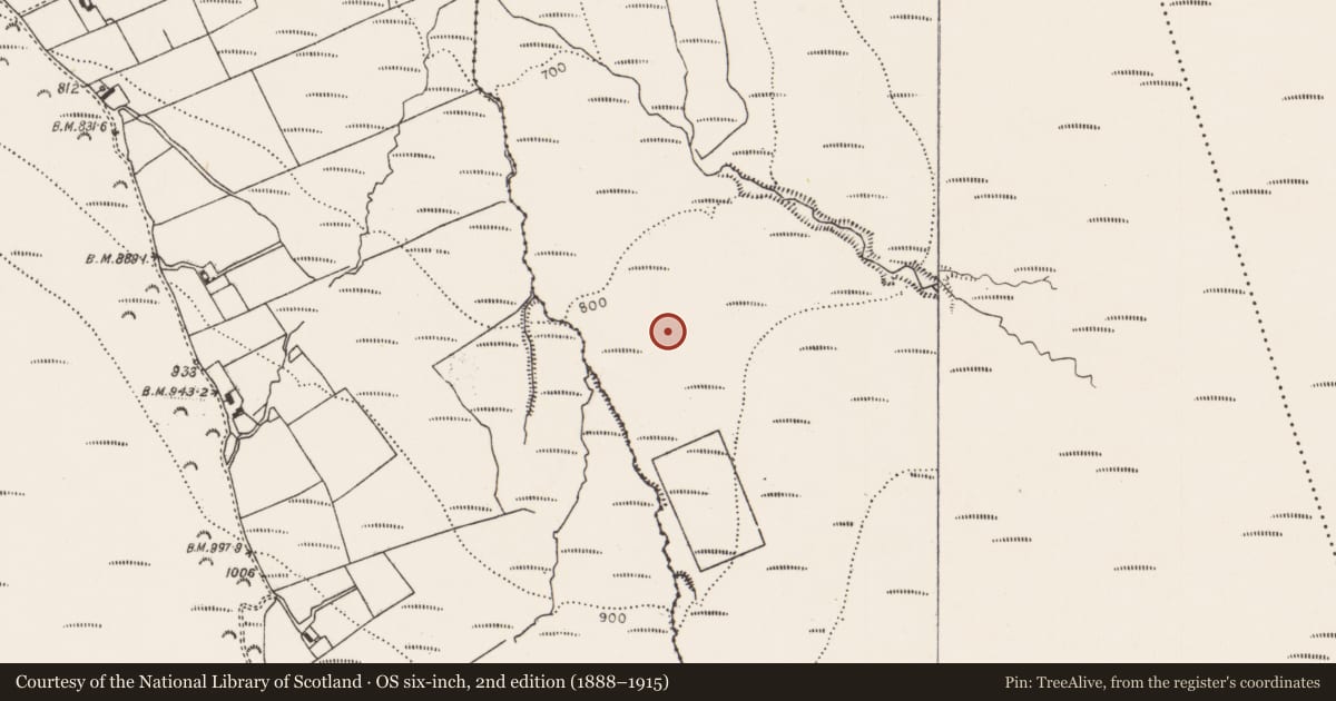 Ordnance Survey six-inch map, 2nd edition (1888–1915) covering the location of Megalithic tomb - wedge tomb, Mountrussell, County Limerick, with a pin at the register's coordinates