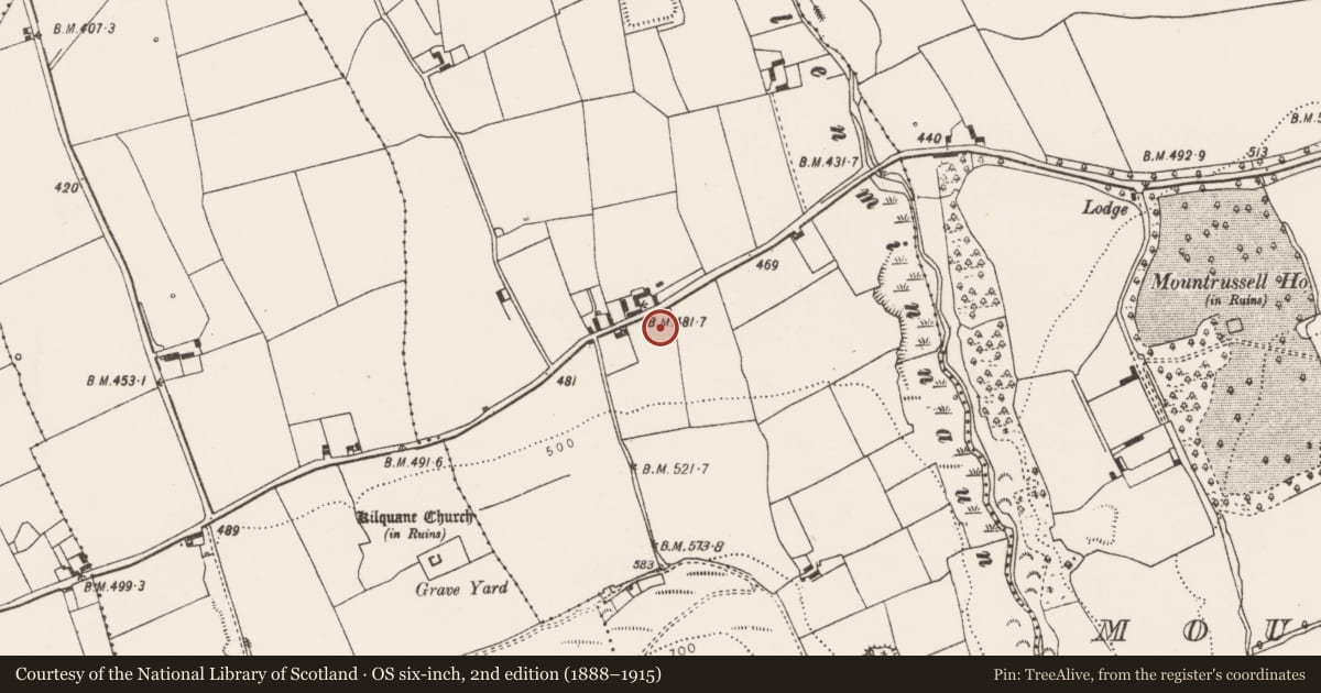 Ordnance Survey six-inch map, 2nd edition (1888–1915) covering the location of Church, Mountrussell, County Limerick, with a pin at the register's coordinates