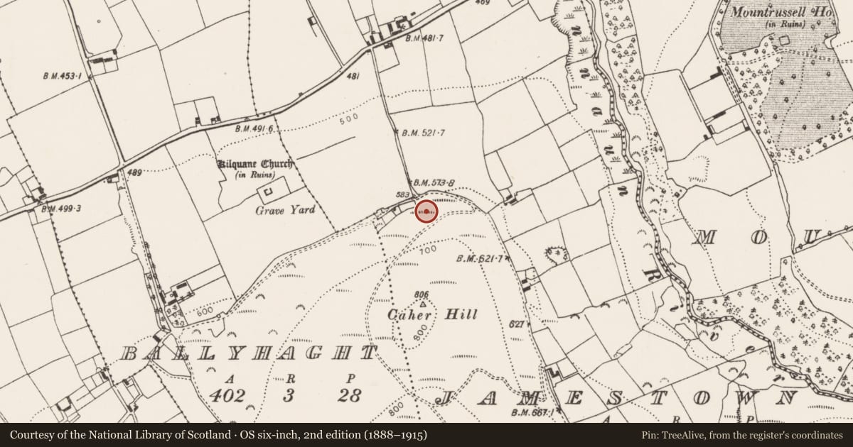 Ordnance Survey six-inch map, 2nd edition (1888–1915) covering the location of Standing stone, Jamestown, County Limerick, with a pin at the register's coordinates