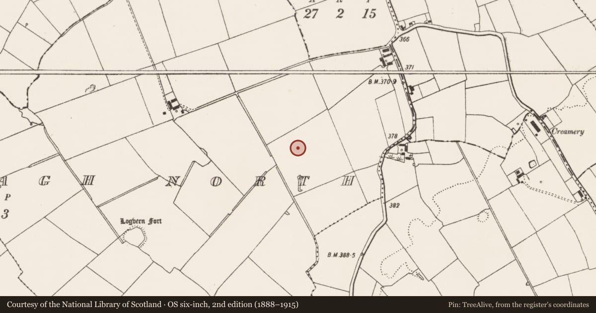 Ordnance Survey six-inch map, 2nd edition (1888–1915) covering the location of Earthwork, Garryncoonagh North, County Limerick, with a pin at the register's coordinates