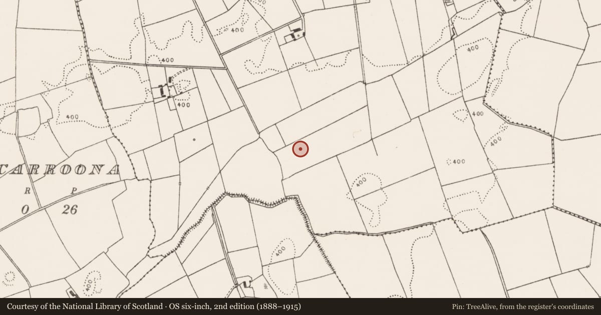 Ordnance Survey six-inch map, 2nd edition (1888–1915) covering the location of Enclosure, Brickfield, County Limerick, with a pin at the register's coordinates