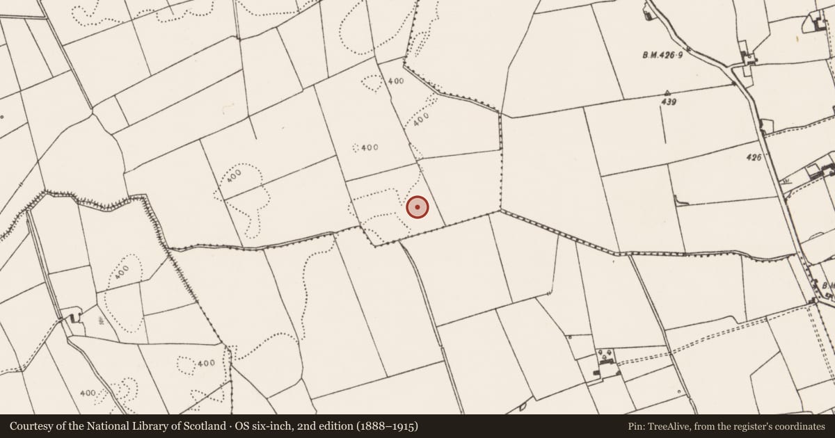 Ordnance Survey six-inch map, 2nd edition (1888–1915) covering the location of Barrow - ditch barrow, Brickfield, County Limerick, with a pin at the register's coordinates