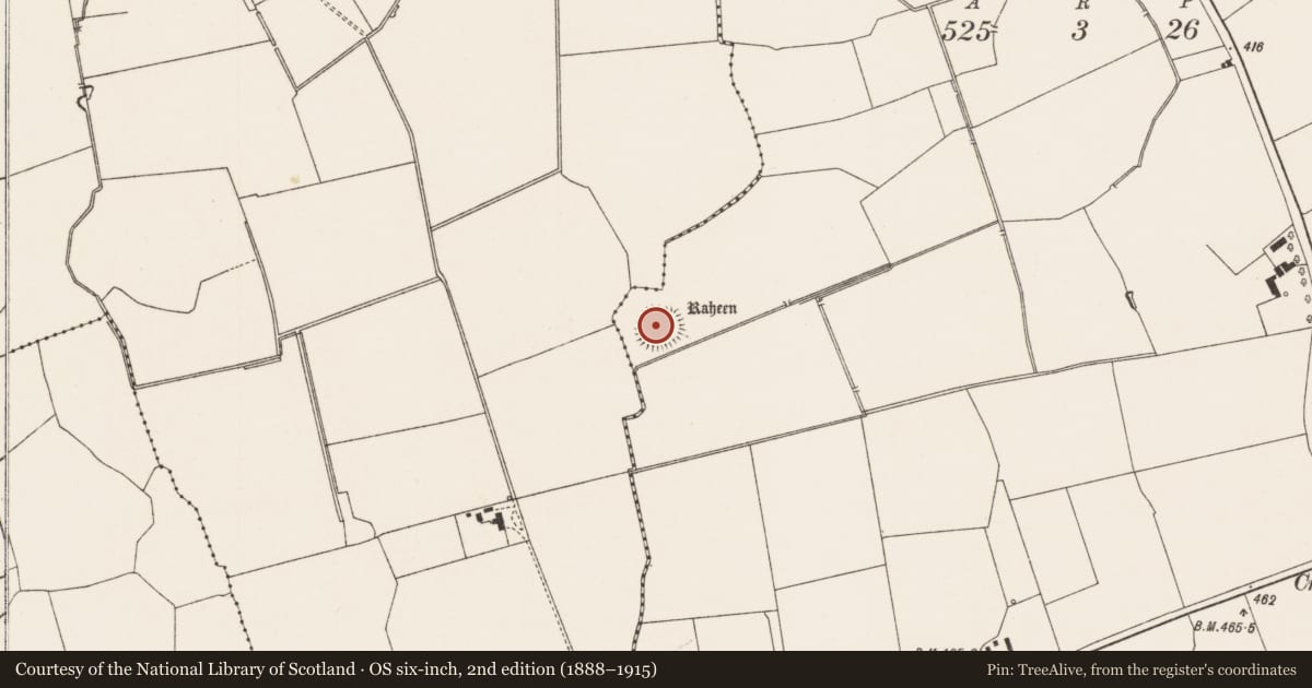 Ordnance Survey six-inch map, 2nd edition (1888–1915) covering the location of Ringfort - rath, Baunmore, County Limerick, with a pin at the register's coordinates