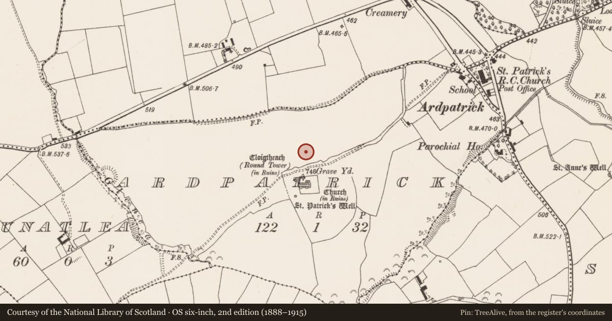 Ordnance Survey six-inch map, 2nd edition (1888–1915) covering the location of Field system, Ardpatrick, County Limerick, with a pin at the register's coordinates